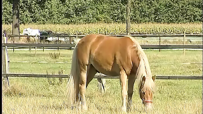 Americký Farmár Tínedžer Si Užíva Sólo Piknik